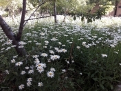 Satılır 2 otaqlı 82 m2 yeni tikili Naxçıvan