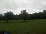 Satılır 130 sot torpaq Quba