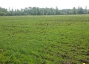 Satılır 400 sot torpaq İsmayıllı