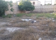 Satılır 6 sot torpaq Mərdəkan
