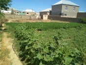 Satılır 4 sot torpaq Binə