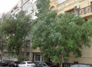 Satılır 2 otaqlı 50 m2 obyekt İçəri Şəhər m.