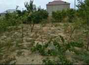 Satılır 5.5 sot torpaq Sumqayıt