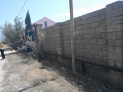 Satılır 5.5 sot torpaq Zirə