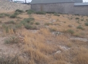 Satılır 20 sot torpaq Badamdar