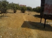 Satılır 25 sot torpaq Albalı