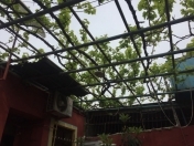 Satılır 3 otaqlı 90 m2 həyət evi Xırdalan