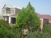 Satılır 5 otaqlı 240 m2 həyət evi Buzovna