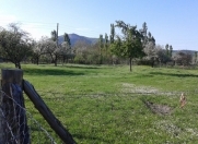 Satılır 10 sot torpaq Quba