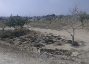 Satılır 20.5 sot torpaq Saray