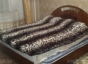 Satılır 4 otaqlı 78 m2 həyət evi Y.Ramana