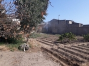 Satılır 1 otaqlı 600 m2 bağ evi Buzovna