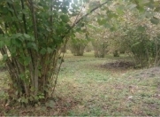 Satılır 2 otaqlı 80 m2 bağ evi Qəbələ