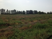 Satılır 192 sot torpaq Xaçmaz