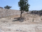 Satılır 8 sot torpaq Saray