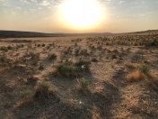 Satılır 8 sot torpaq Fatmayı