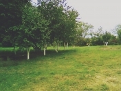 Satılır 15 sot torpaq Quba