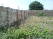 Satılır 4 sot torpaq Fatmayı