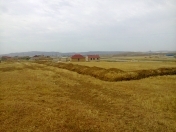 Satılır 10 sot torpaq Saray