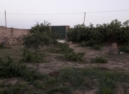 Satılır 9.5 sot torpaq Albalı