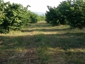 Satılır 600 sot torpaq Yasamal r.