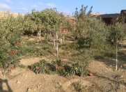 Satılır 5 sot torpaq Məhəmmədli