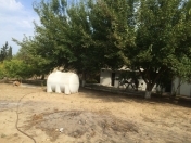 Satılır 3 otaqlı 100 m2 bağ evi Fatmayı