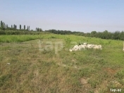 Satılır 251 sot torpaq Xaçmaz