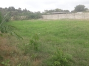 Satılır 100 sot torpaq Məhəmmədli