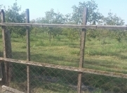 Satılır 250 sot torpaq Göyçay