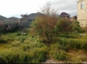 Satılır 10 sot torpaq Binə