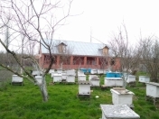 Satılır 5 otaqlı 2000 m2 bağ evi Xaçmaz