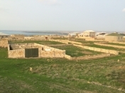 Satılır 5 sot torpaq Hökməli