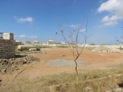 Satılır 12000 sot torpaq Kürdəxanı