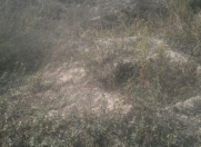 Satılır 4 sot torpaq Quba