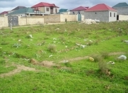 Satılır 4 sot torpaq Mehdiabad