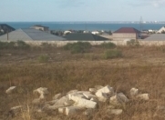 Satılır 35 sot torpaq Xəzər r.