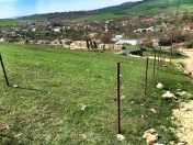 Satılır 12 sot torpaq Şamaxı