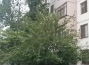 İcarəyə verilir 2 otaqlı 50 m2 köhnə tikili 2 mkr