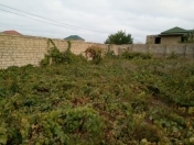 Satılır 10 sot torpaq Sumqayıt