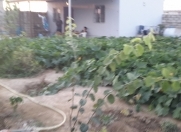 Satılır 2 otaqlı 45 m2 bağ evi Maştağa