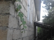 Satılır 4 otaqlı 110 m2 həyət evi Salyan