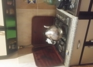 İcarəyə verilir 1 otaqlı 38 m2 həyət evi Əmircan