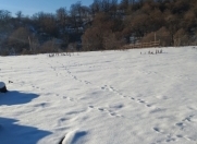 Satılır 10 sot torpaq İsmayıllı