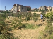 Satılır 6 sot torpaq Badamdar