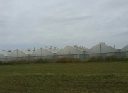 Satılır 15 otaqlı 15000 m2 obyekt Salyan