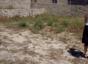 Satılır 2.5 sot torpaq Zabrat 2