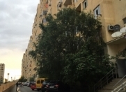 İcarəyə verilir 2 otaqlı 56 m2 yeni tikili Xırdalan