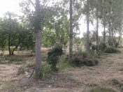 Satılır 6 sot torpaq Göyçay