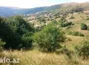 Satılır 24 sot torpaq Şamaxı